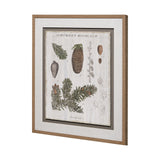 Woodland Chart IV by Sue Schlabach a Hand Embellished Textured Framed Art Print Matted under Glass by Mercana at Eve Furniture