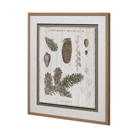Woodland Chart IV by Sue Schlabach a Hand Embellished Textured Framed Art Print Matted under Glass by Mercana at Eve Furniture