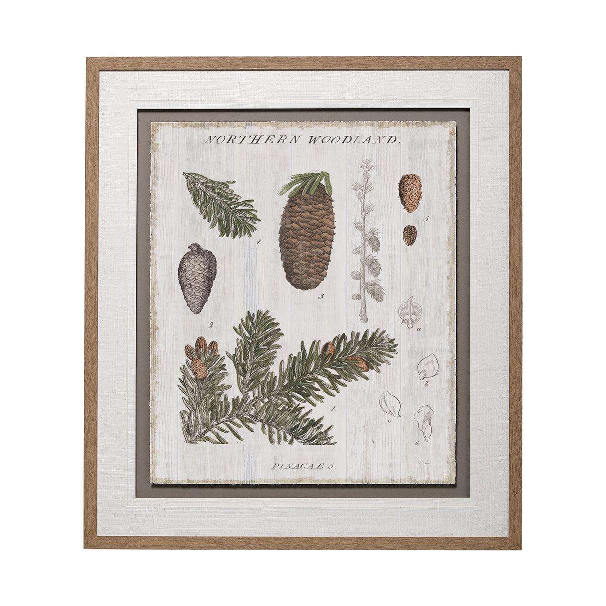 Woodland Chart IV by Sue Schlabach a Hand Embellished Textured Framed Art Print Matted under Glass by Mercana at Eve Furniture