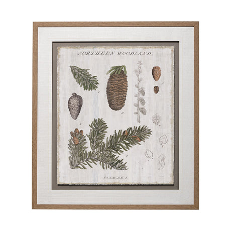 Woodland Chart IV by Sue Schlabach a Hand Embellished Textured Framed Art Print Matted under Glass by Mercana at Eve Furniture