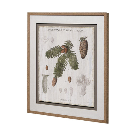 Woodland Chart V by Sue Schlabach a Hand Embellished Textured Framed Art Print Matted under Glass by Mercana at Eve Furniture