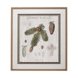 Woodland Chart V by Sue Schlabach a Hand Embellished Textured Framed Art Print Matted under Glass by Mercana at Eve Furniture
