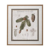Woodland Chart V by Sue Schlabach a Hand Embellished Textured Framed Art Print Matted under Glass by Mercana at Eve Furniture