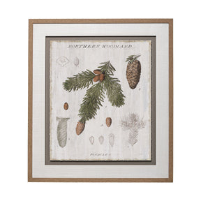 Woodland Chart V by Sue Schlabach a Hand Embellished Textured Framed Art Print Matted under Glass by Mercana at Eve Furniture