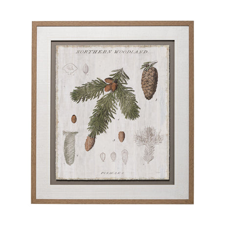 Woodland Chart V by Sue Schlabach a Hand Embellished Textured Framed Art Print Matted under Glass by Mercana at Eve Furniture