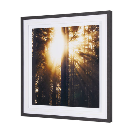 Woodland Glow by Andreas Stridsberg a Hand Embelished Textured Framed Art Photo Matted under Glass by Mercana at Eve Furniture