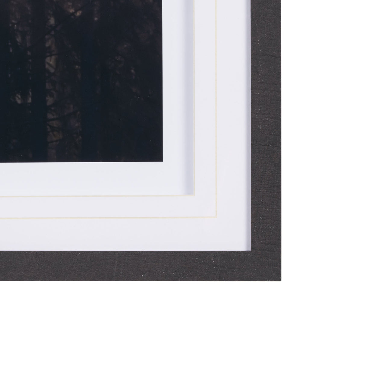 Woodland Glow by Andreas Stridsberg a Hand Embelished Textured Framed Art Photo Matted under Glass by Mercana at Eve Furniture