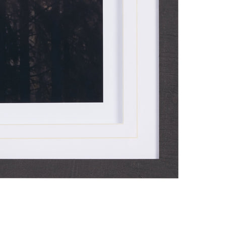 Woodland Glow by Andreas Stridsberg a Hand Embelished Textured Framed Art Photo Matted under Glass by Mercana at Eve Furniture