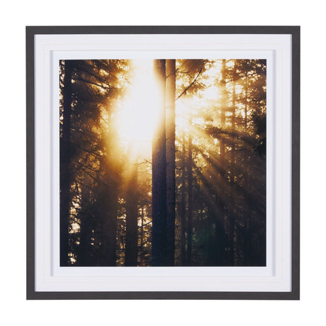 Woodland Glow by Andreas Stridsberg a Hand Embelished Textured Framed Art Photo Matted under Glass by Mercana at Eve Furniture