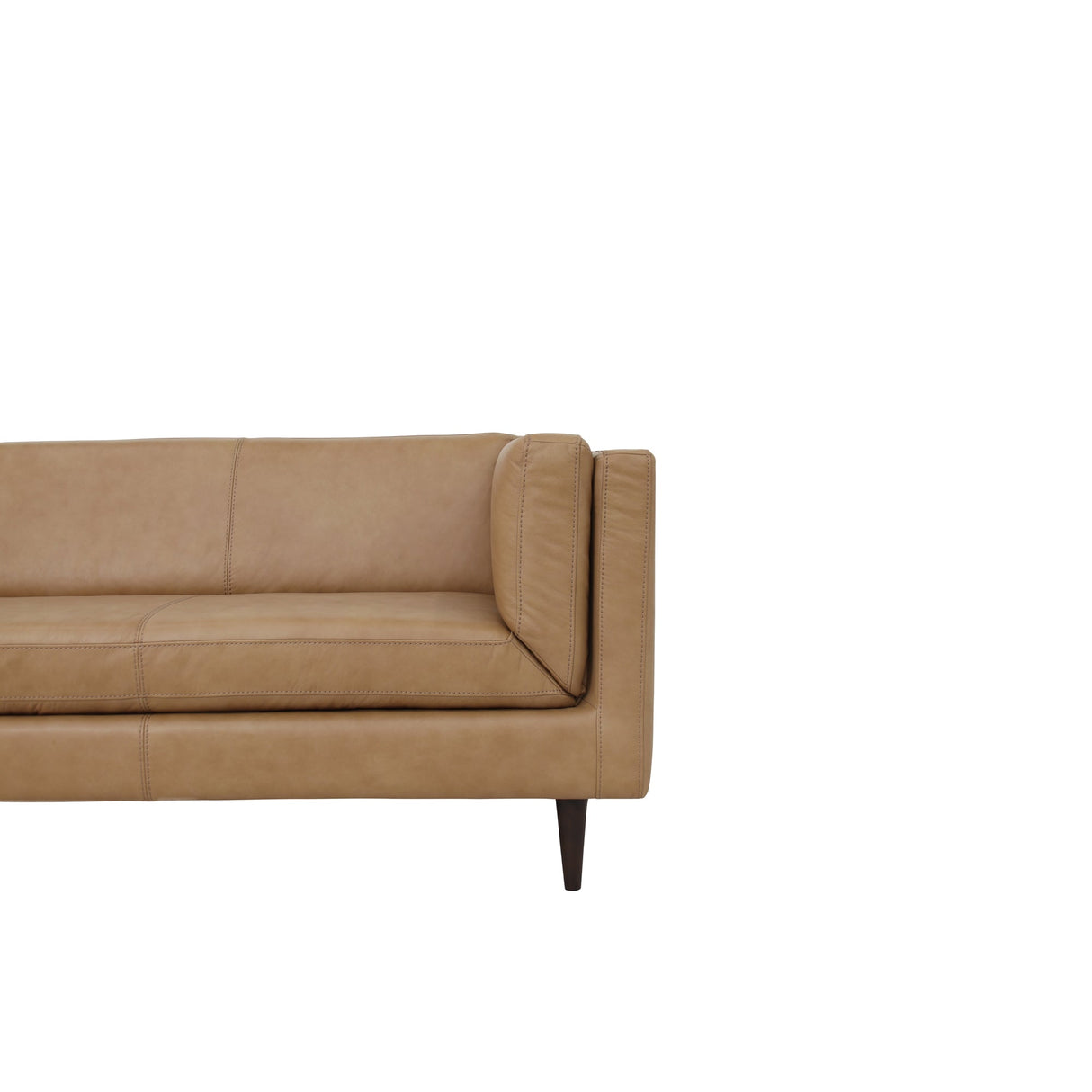Woods Tan Leather Sofa by Moe's Home at Eve Furniture