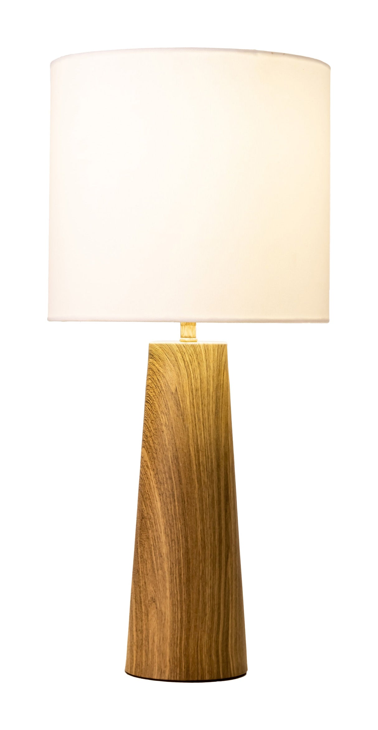 Woonari Brown Solar Table Lamp by Zuomod at Eve Furniture