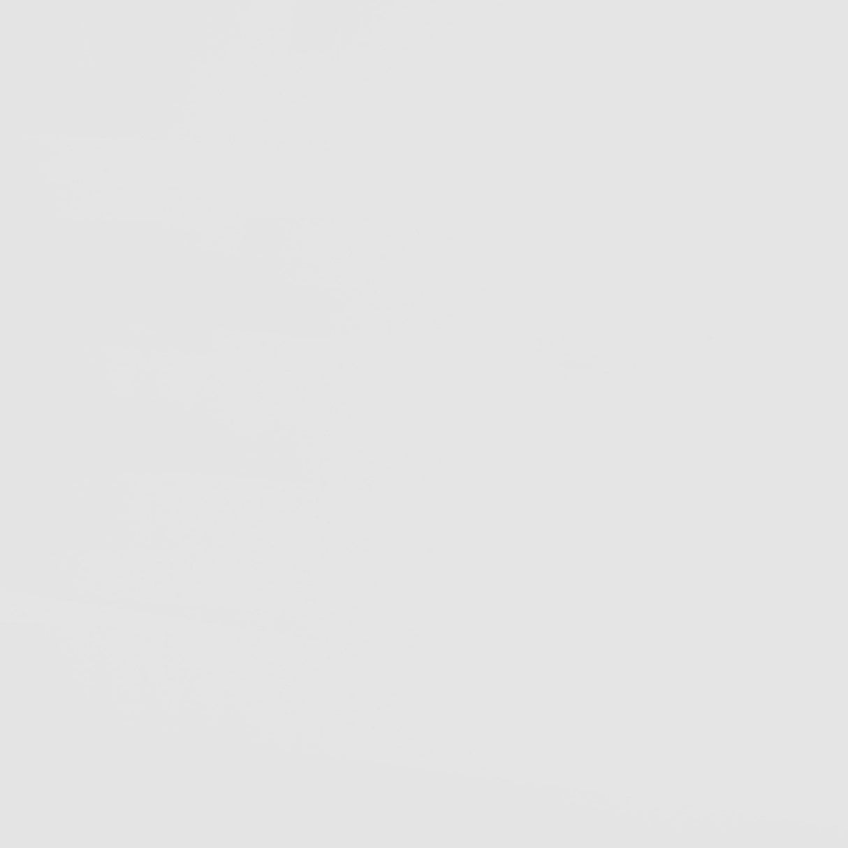 Wyatt White and Natural Wood Twin Over Twin Bunk Bed by Coaster at Eve Furniture