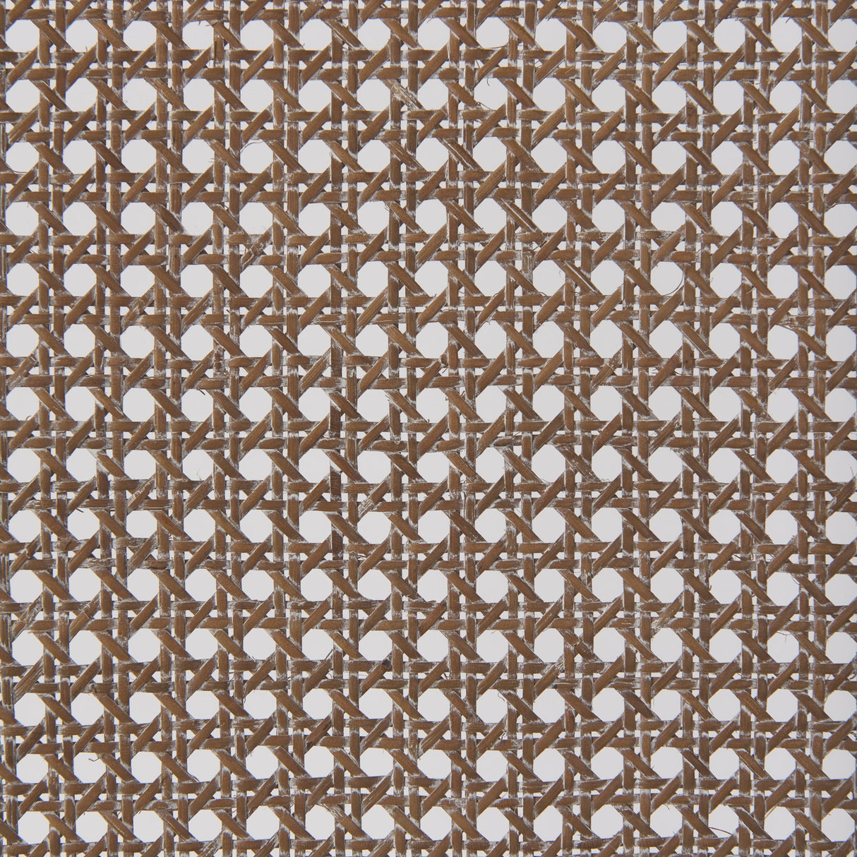 Wynn Fabric W/Brown Wood Dining Chair, Set of 2 by Mercana at Eve Furniture