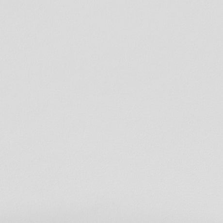 Ximena White High Back Upholstered Office Chair by Coaster at Eve Furniture