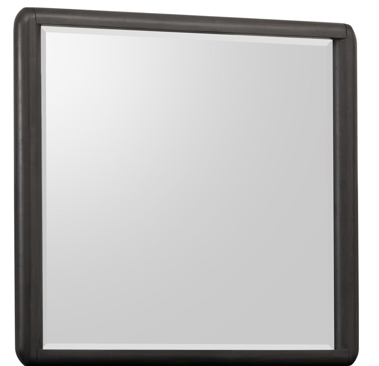 Xolani Beveled Glass Wall or Dresser Mirror in Jaguar by Modus Furniture at Eve Furniture