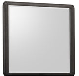 Xolani Beveled Glass Wall or Dresser Mirror in Jaguar by Modus Furniture at Eve Furniture