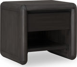 Xolani Jaguar One Drawer Acacia Wood Nightstand by Modus Furniture at Eve Furniture