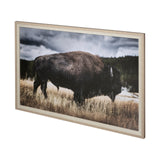 Yellowstone Bison by Dunker a Framed Photo Art Print Matted under Glass by Mercana at Eve Furniture