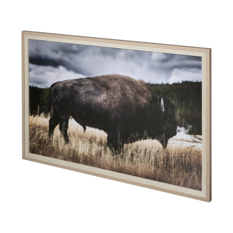 Yellowstone Bison by Dunker a Framed Photo Art Print Matted under Glass by Mercana at Eve Furniture