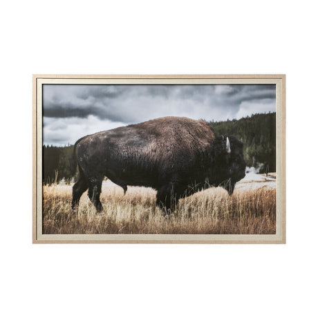 Yellowstone Bison by Dunker a Framed Photo Art Print Matted under Glass by Mercana at Eve Furniture