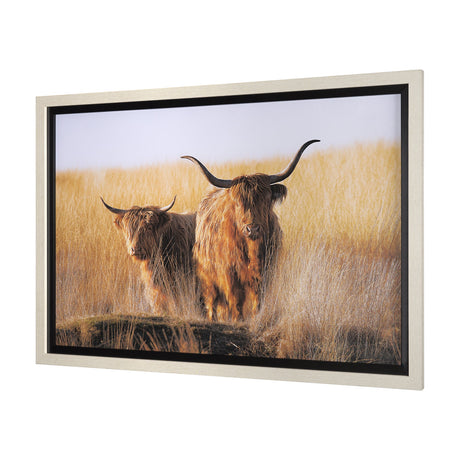 Young and Old Highlander by Mercana Studio Hand Embellished Framed Photo Art Print Matted under Glas by Mercana at Eve Furniture