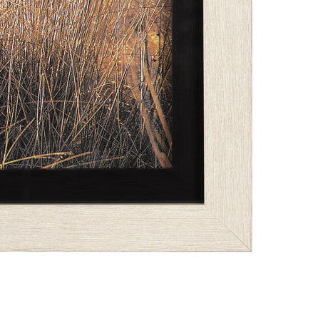 Young and Old Highlander by Mercana Studio Hand Embellished Framed Photo Art Print Matted under Glas by Mercana at Eve Furniture