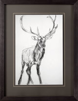 Young Elk by Harvey, Brenna a Framed Art Print Matted under Glass by Mercana at Eve Furniture