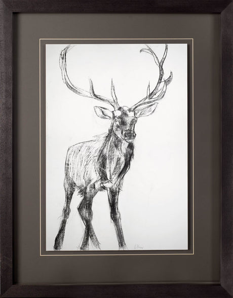 Young Elk by Harvey, Brenna a Framed Art Print Matted under Glass by Mercana at Eve Furniture