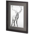 Young Elk by Harvey, Brenna a Framed Art Print Matted under Glass by Mercana at Eve Furniture