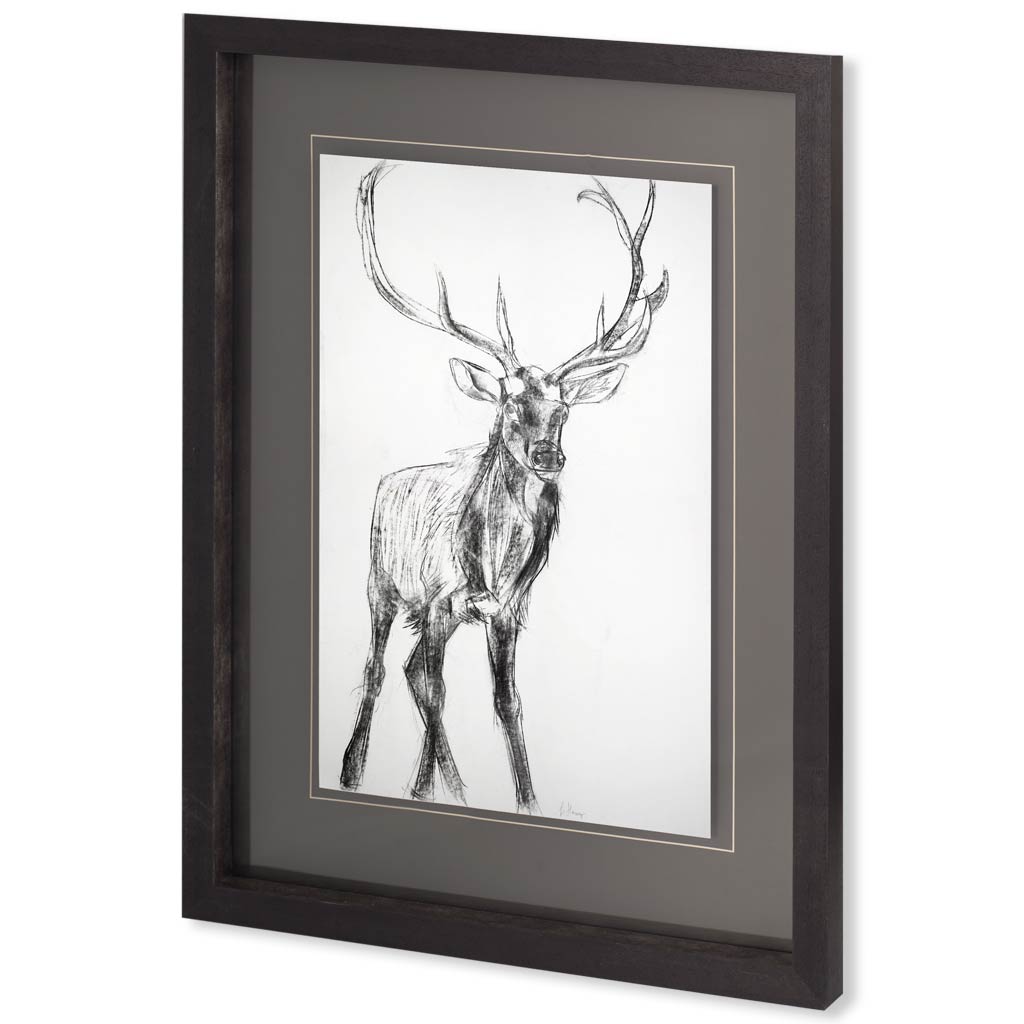 Young Elk by Harvey, Brenna a Framed Art Print Matted under Glass by Mercana at Eve Furniture