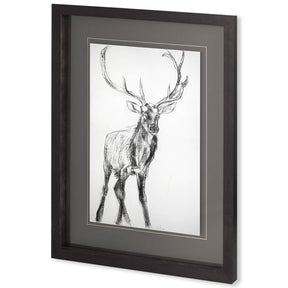 Young Elk by Harvey, Brenna a Framed Art Print Matted under Glass by Mercana at Eve Furniture