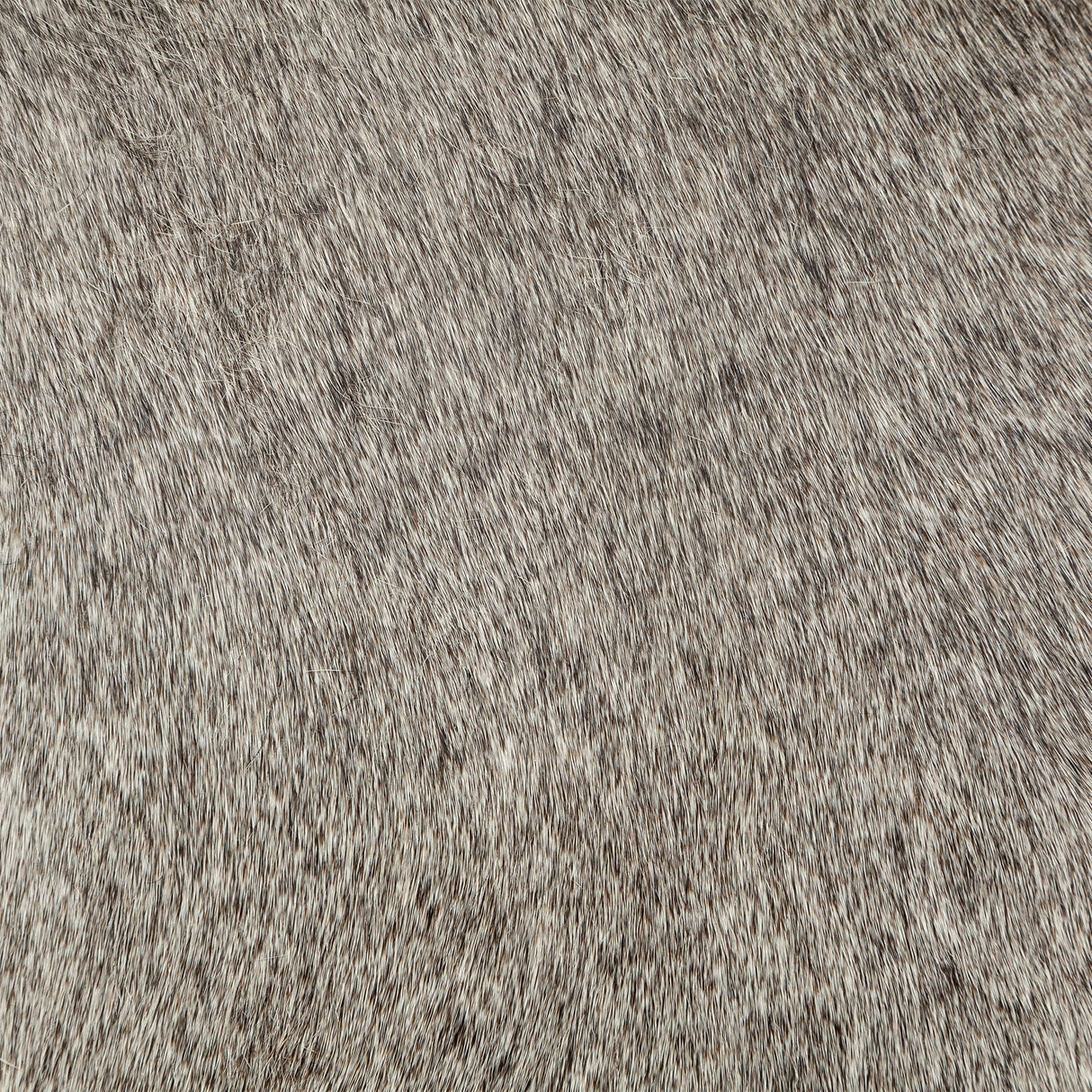 Zahavi I 23"H grey-toned hair-on-hide ottoman by Mercana at Eve Furniture