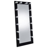 Zayan Black High Gloss Full Length Floor Mirror With Lighting by Coaster at Eve Furniture