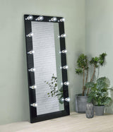 Zayan Black High Gloss Full Length Floor Mirror With Lighting