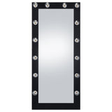 Zayan Black High Gloss Full Length Floor Mirror With Lighting