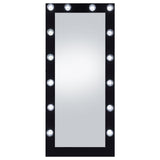 Zayan Black High Gloss Full Length Floor Mirror With Lighting