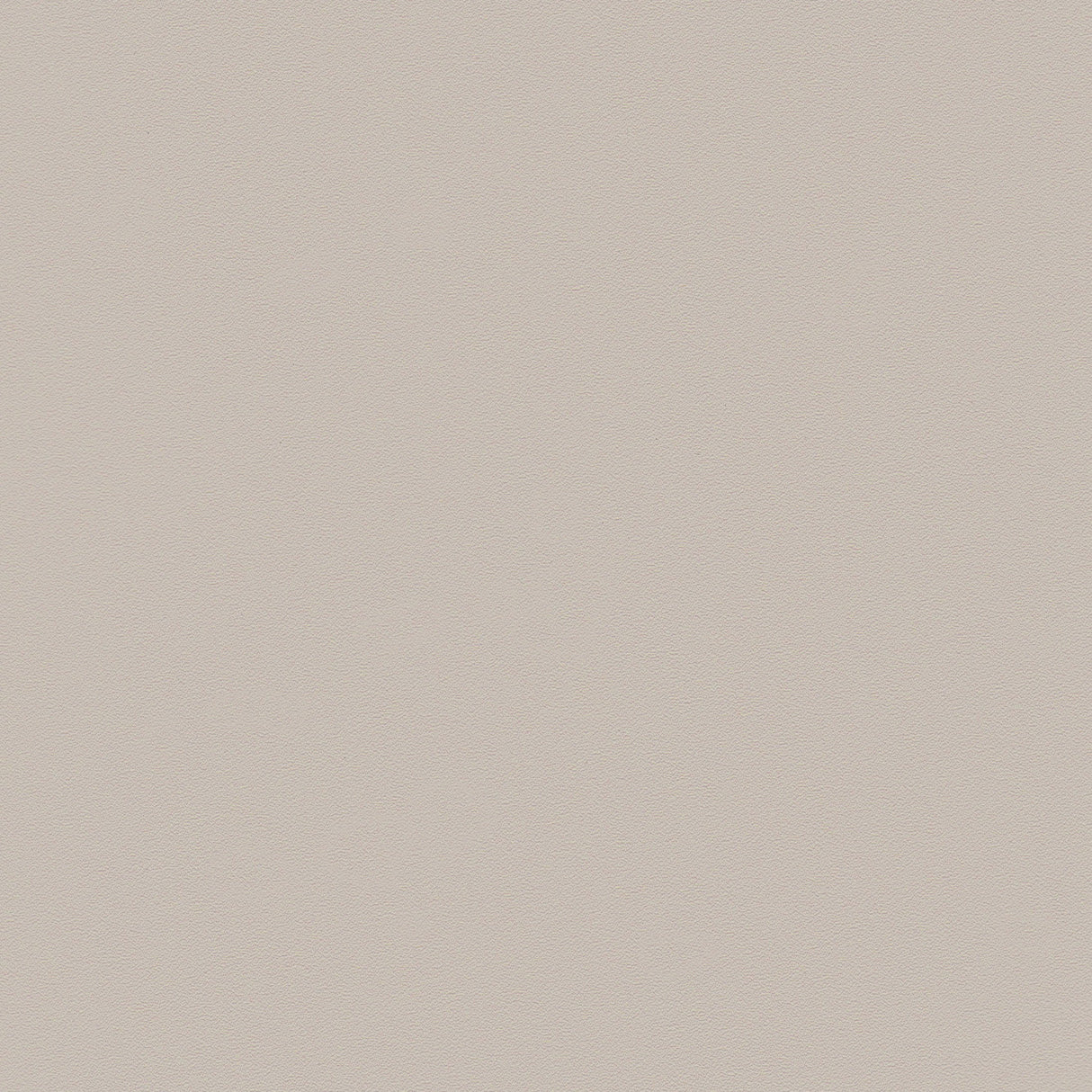 Zeal Light Gray & Beige Dining Chair (Set of 4) by Zuomod at Eve Furniture