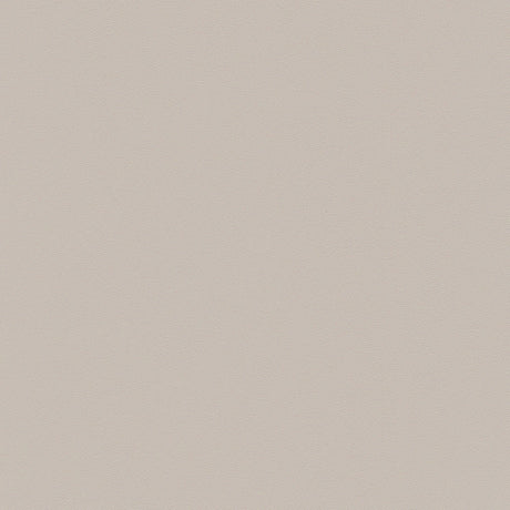 Zeal Light Gray & Beige Dining Chair (Set of 4) by Zuomod at Eve Furniture