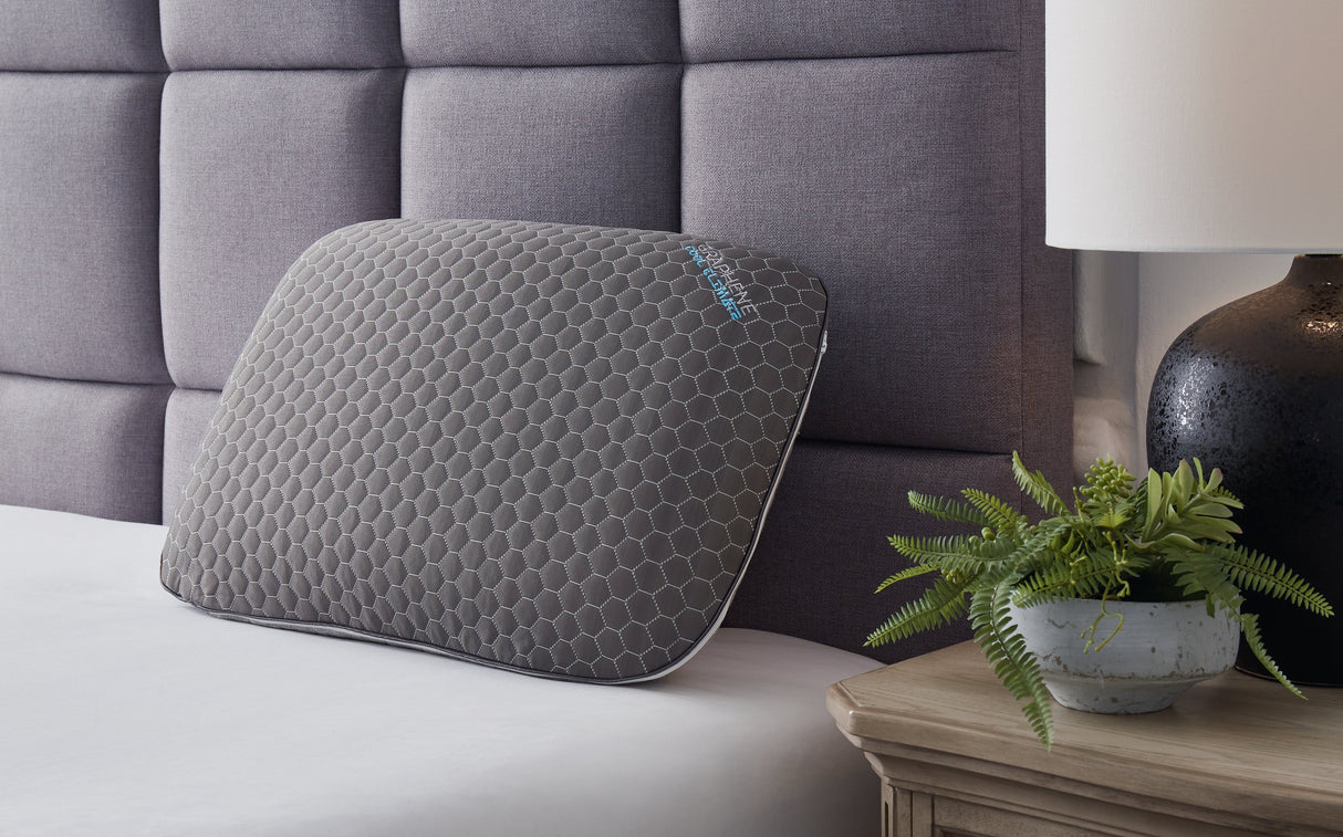 Zephyr 2.0 Dark Gray Graphene Contour Pillow