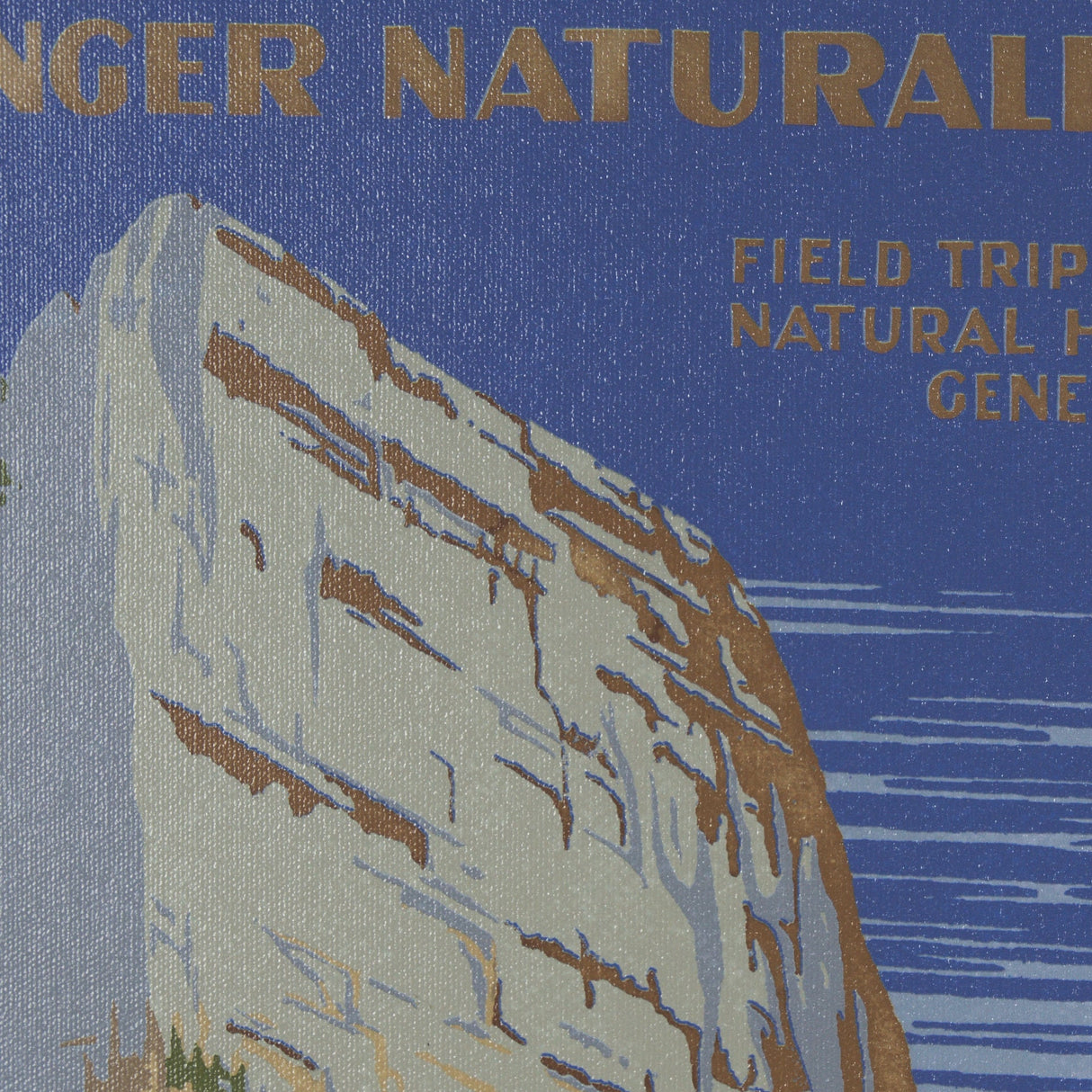 Zion National Park by The Vinatage Collection a Framed Art Print Matted under Glass by Mercana at Eve Furniture
