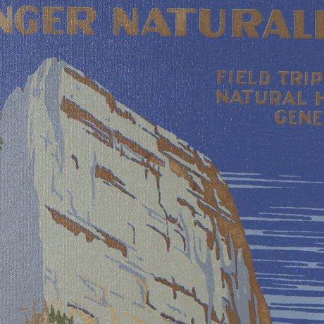 Zion National Park by The Vinatage Collection a Framed Art Print Matted under Glass by Mercana at Eve Furniture