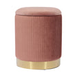 Zoe Velvet Storage Ottoman by TOV Furniture at Eve Furniture