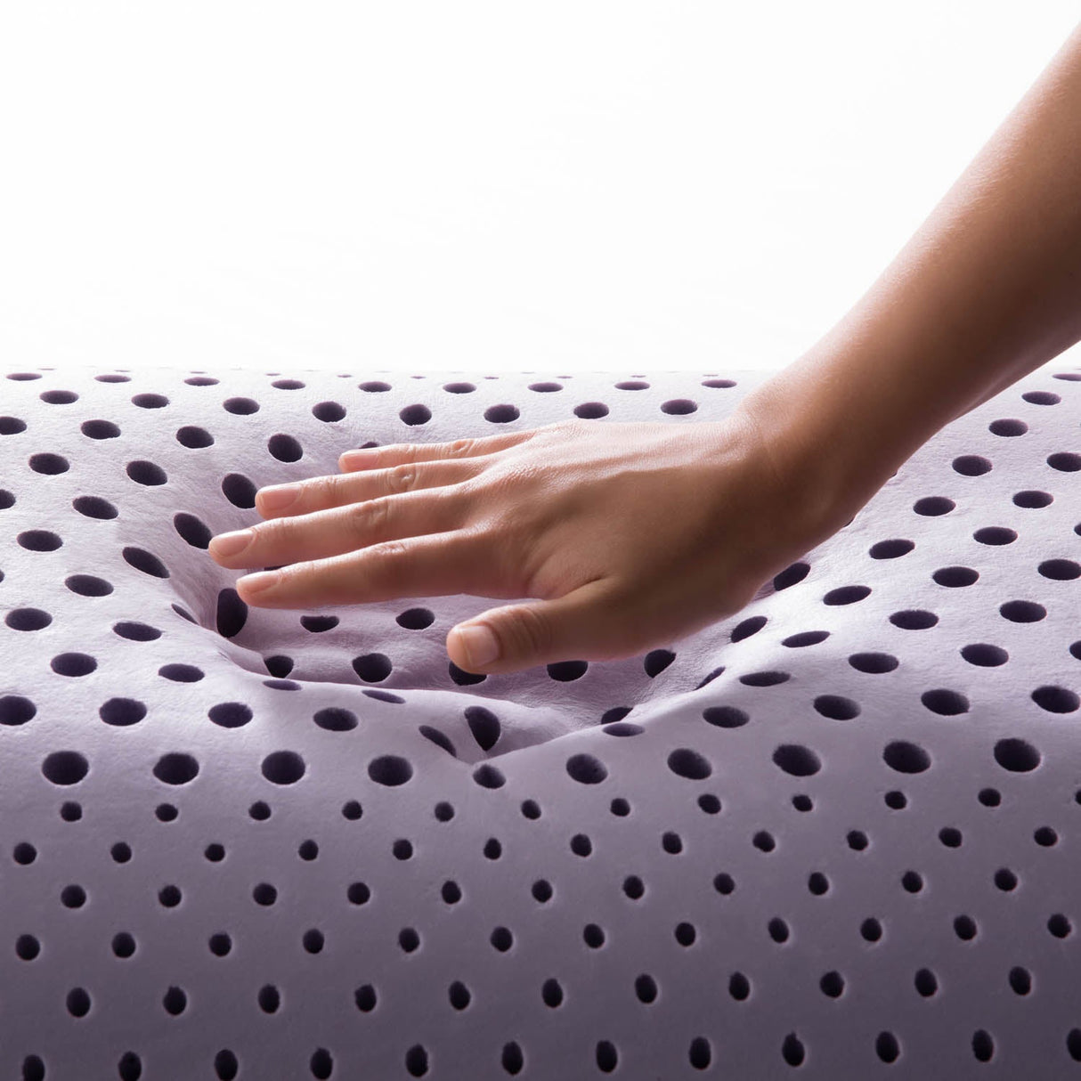 Zoned ActiveDough Lavender King Pillow by Malouf at Eve Furniture