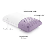 Zoned ActiveDough Lavender Queen Pillow by Malouf at Eve Furniture