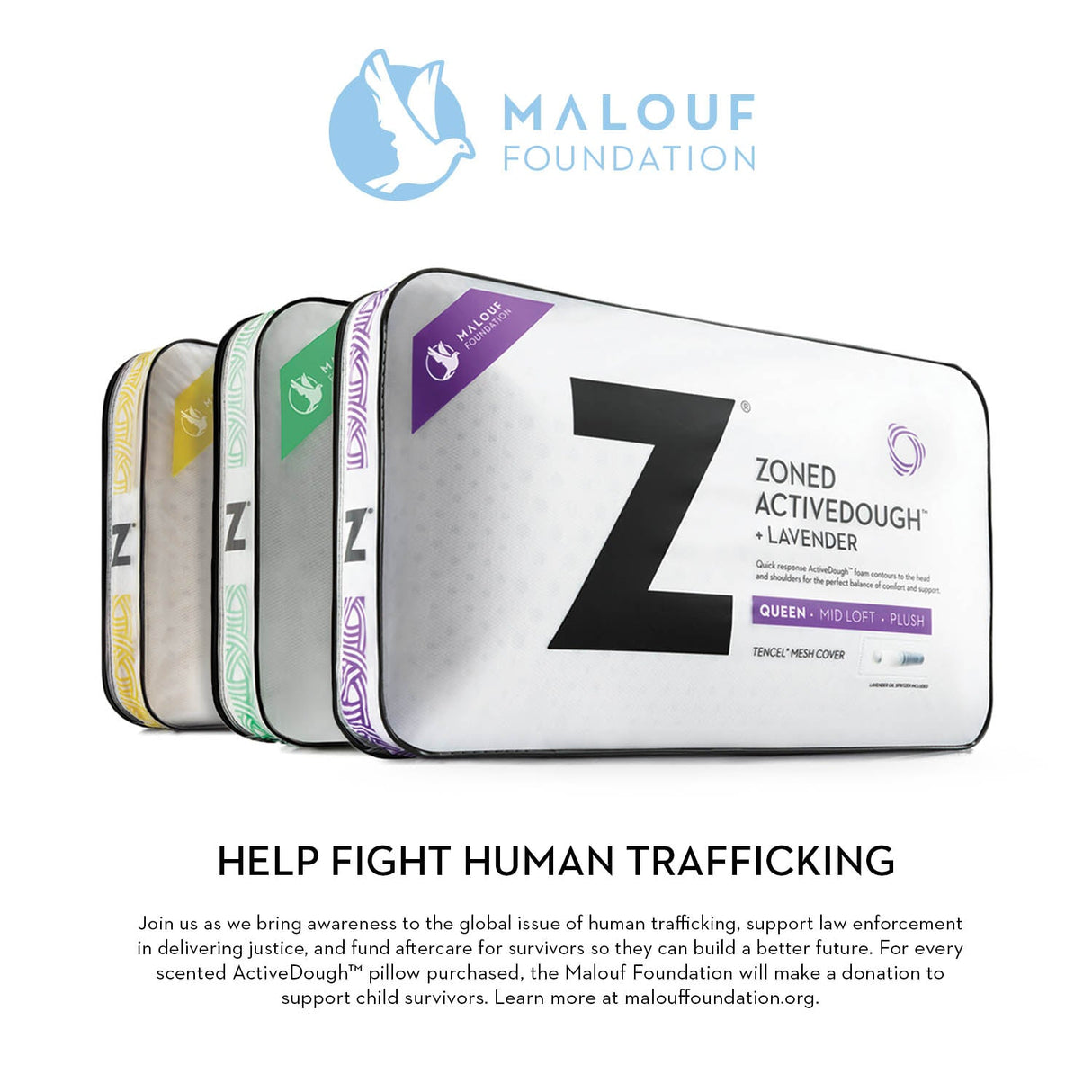 Zoned ActiveDough Lavender Queen Pillow by Malouf at Eve Furniture