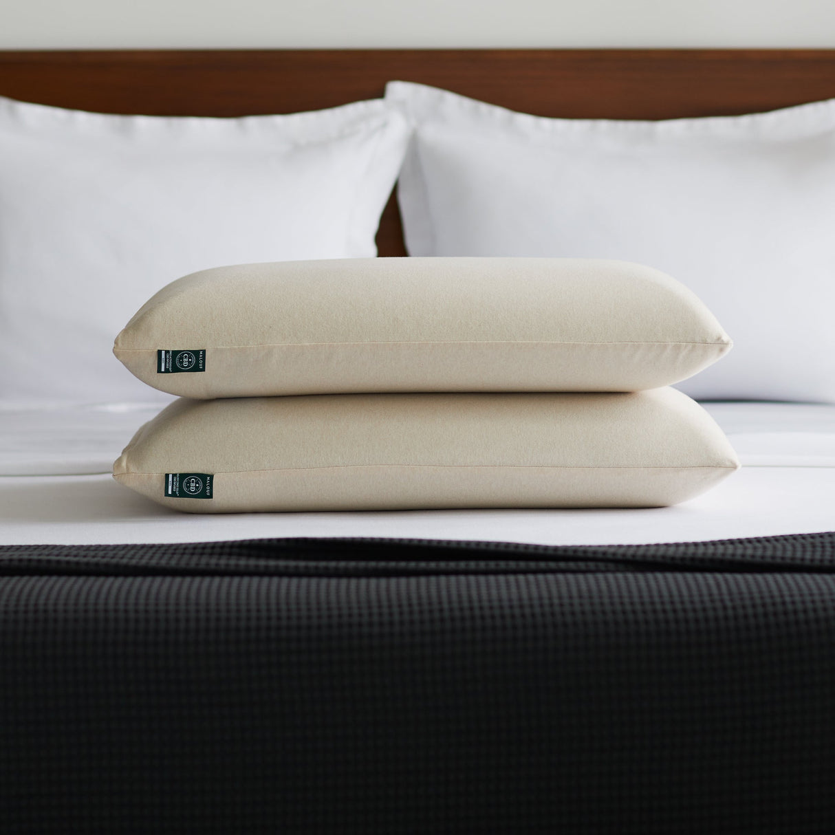 Zoned Dough Cbd Oil Queen Pillow by Malouf at Eve Furniture