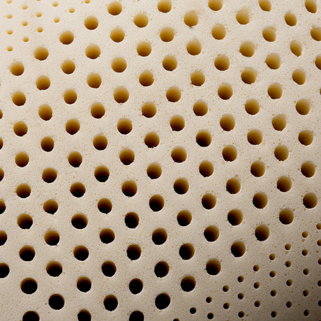 Zoned Talalay Latex White King High Loft - Plush Pillow by Malouf at Eve Furniture