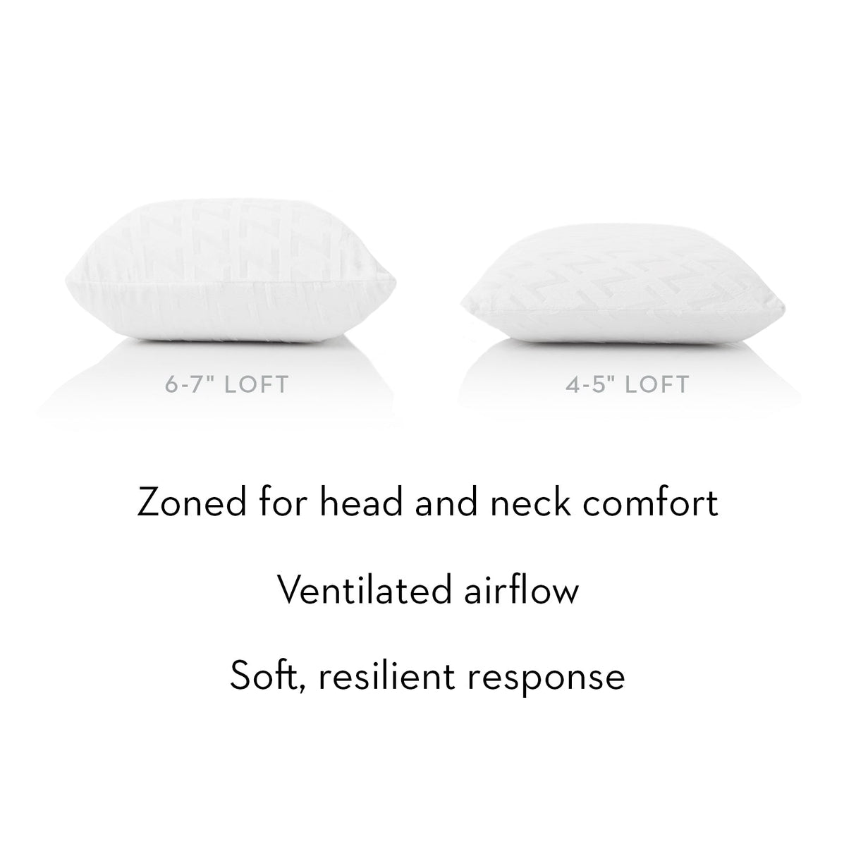 Zoned Talalay Latex White Queen High Loft - Plush Pillow by Malouf at Eve Furniture