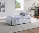 Garrell Gray Velvet Lift Top Storage Bench with Pull-out Bed