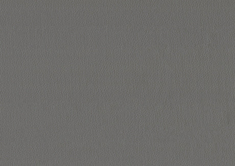 Adra Gray Twin Daybed with Trundle by Homelegance at Eve Furniture